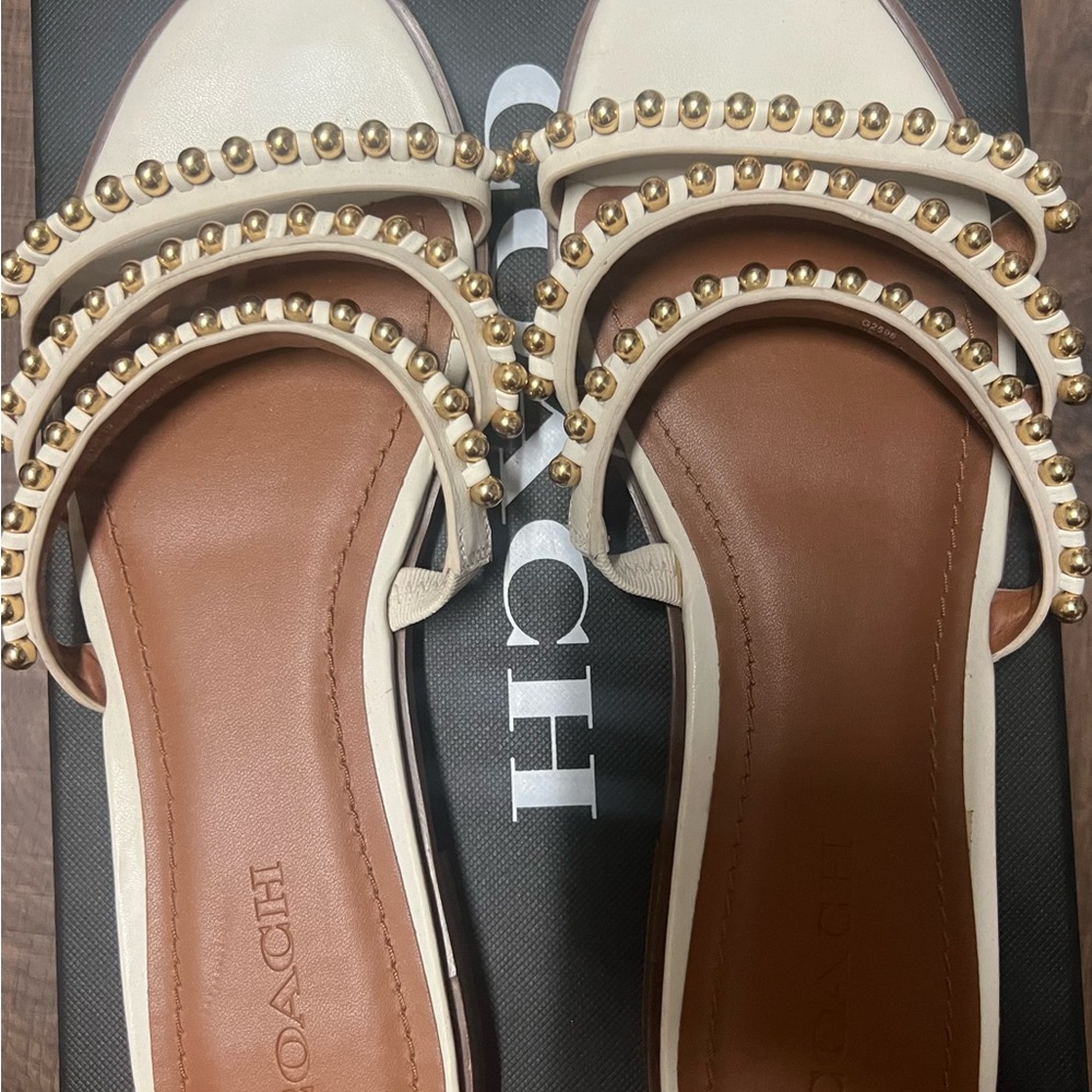 Coach Sandals with box